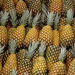 Brazil’s Fruit Export Paradox: Why the World’s Third-Largest Producer Struggles to Dominate Global Markets