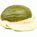 Syngenta Dominates Early Piel-de-Sapo Melon Market with 50% Share: How Innovation and Disease Resistance Are Shaping the Future