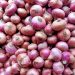 Maharashtra’s Onion Crisis: Heavy Rains Wipe Out Crops, Farmers Demand ₹1 Lakh/Acre Compensation
