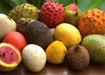 Spain’s Tropical Fruit Boom: How Avocados and Exotics Are Reshaping EU Agriculture