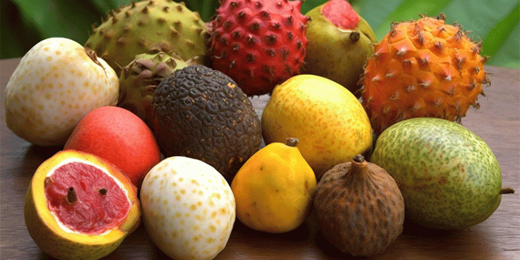 Spain’s Tropical Fruit Boom: How Avocados and Exotics Are Reshaping EU Agriculture