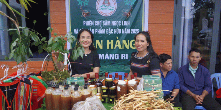 Ngọc Linh Ginseng & Medicinal Herbs: A Model for Sustainable Agri-Tourism and Economic Growth in Vietnam’s Highlands