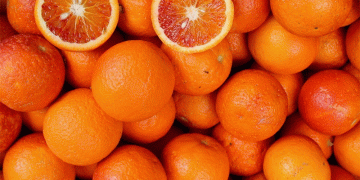 Brazil’s 2025/26 Orange Harvest: High Yields, Delayed Contracts, and Rising Quality
