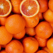 Brazil’s 2025/26 Orange Harvest: High Yields, Delayed Contracts, and Rising Quality