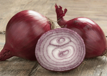 Switzerland’s Growing Onion Imports: A Crisis of Pesticide Bans and Climate Challenges