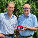 Bodensee Cherries 2025: High-Quality Protected Cultivation Sets the Standard for Sustainable Fruit Production