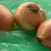 The Decline of Bessonovsky Onion: Why a Once-Famous Russian Variety Disappeared from Fields
