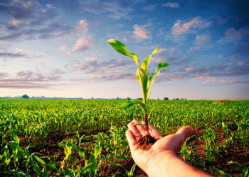 Kaliningrad’s Agribusiness Boom: 10,000 New Jobs by 2030 – Can the Workforce Keep Up?