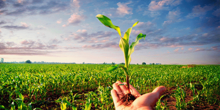 Kaliningrad’s Agribusiness Boom: 10,000 New Jobs by 2030 – Can the Workforce Keep Up?