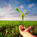 Kaliningrad’s Agribusiness Boom: 10,000 New Jobs by 2030 – Can the Workforce Keep Up?