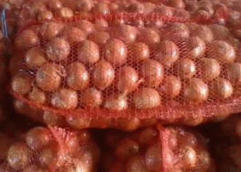 Border Alert: Contaminated Onion Shipment from Kazakhstan Blocked in Saratov – What Farmers Need to Know