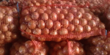 Border Alert: Contaminated Onion Shipment from Kazakhstan Blocked in Saratov – What Farmers Need to Know