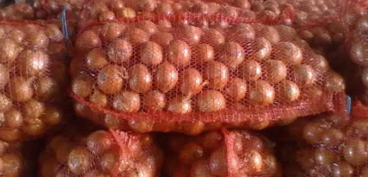 Border Alert: Contaminated Onion Shipment from Kazakhstan Blocked in Saratov – What Farmers Need to Know