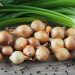 Unseasonal Rains Wreak Havoc on Gujarat’s Onion Crop: Price Surge and Farmer Distress Loom
