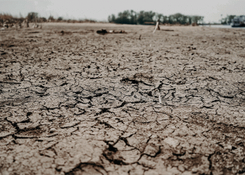 Agricultural Insurance on the Rise: How Climate Risks Are Reshaping Farming in Russia and Tatarstan