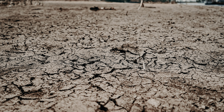 Agricultural Insurance on the Rise: How Climate Risks Are Reshaping Farming in Russia and Tatarstan