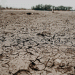 Agricultural Insurance on the Rise: How Climate Risks Are Reshaping Farming in Russia and Tatarstan