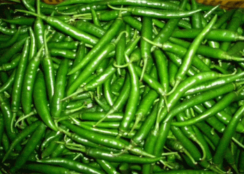 Price Volatility in Vegetable Markets: Analyzing Trends in Muhana Mandi and Their Impact on Farmers