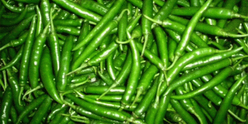 Price Volatility in Vegetable Markets: Analyzing Trends in Muhana Mandi and Their Impact on Farmers