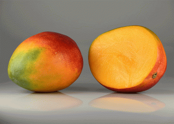 The Future of Europe’s Mango Industry: Challenges and Opportunities for Growth