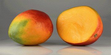 The Future of Europe’s Mango Industry: Challenges and Opportunities for Growth