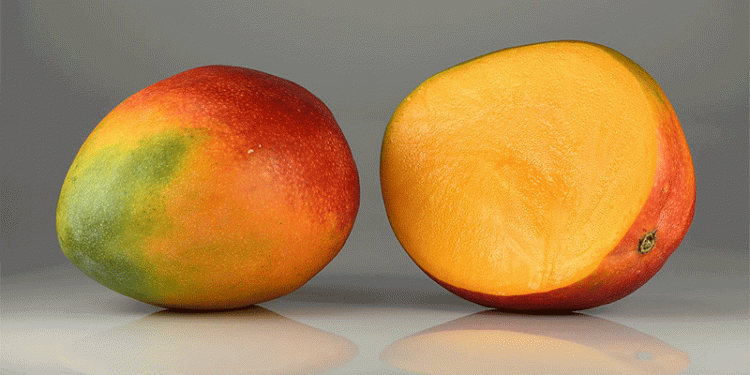 The Future of Europe’s Mango Industry: Challenges and Opportunities for Growth