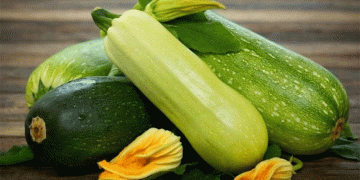 Spain’s Zucchini Trade Boom: Exports Up 46.6%, Imports Surge 79.8% – Key Insights for Agri-Professionals