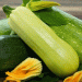 Spain’s Zucchini Trade Boom: Exports Up 46.6%, Imports Surge 79.8% – Key Insights for Agri-Professionals