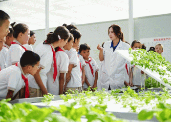 How Gen Z Farmers in China Are Revolutionizing Agriculture with Smart Farming Tech