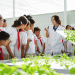 How Gen Z Farmers in China Are Revolutionizing Agriculture with Smart Farming Tech