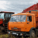 Tymen Farmers Harvest Early: 300 Tons of Potatoes and Strong Belarusian Ties Boost Yields