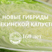 Breakthrough in Cabbage Farming: Tимирязевские Scientists Unveil Disease-Resistant, Long-Storing Peking Cabbage Hybrids