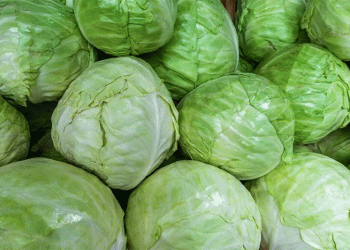 Climate Crisis and Cabbage Shortages: How South Korea is Battling Extreme Weather to Secure Food Supply