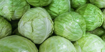 Climate Crisis and Cabbage Shortages: How South Korea is Battling Extreme Weather to Secure Food Supply