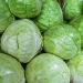 Climate Crisis and Cabbage Shortages: How South Korea is Battling Extreme Weather to Secure Food Supply