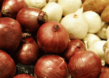 Onion Market Update Summer 2024: Price Declines, Seasonal Shifts, and Demand Trends