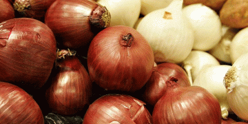 Onion Market Update Summer 2024: Price Declines, Seasonal Shifts, and Demand Trends