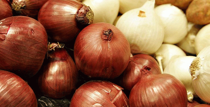 Onion Market Update Summer 2024: Price Declines, Seasonal Shifts, and Demand Trends