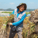 Uiseong’s Cold-Storage Garlic: High-Quality Harvest and Expanding Market Opportunities
