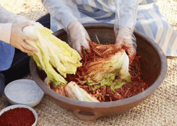 Cabbage Crisis in Korea: Climate Change, Shrinking Farms, and the Struggle for Food Security
