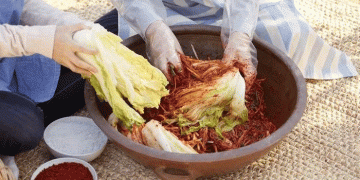 Cabbage Crisis in Korea: Climate Change, Shrinking Farms, and the Struggle for Food Security