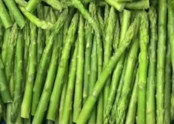 Andalusia’s Asparagus Crisis: 23% Drop in Cultivation Area Sparks Concerns Over Water Scarcity and Future Production
