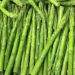 Andalusia’s Asparagus Crisis: 23% Drop in Cultivation Area Sparks Concerns Over Water Scarcity and Future Production