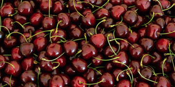 Cherries as Superheroes: Celebrating Germany’s Iconic Summer Fruit and the Future of Sustainable Agriculture