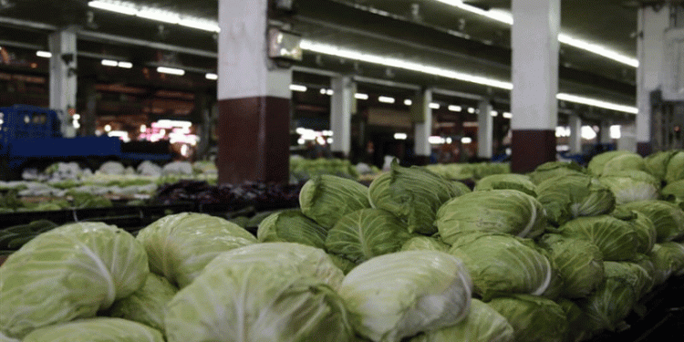 Typhoon Danas Aftermath: How Taiwan Stabilized Cabbage Supply and What Farmers Can Learn