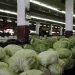 Typhoon Danas Aftermath: How Taiwan Stabilized Cabbage Supply and What Farmers Can Learn