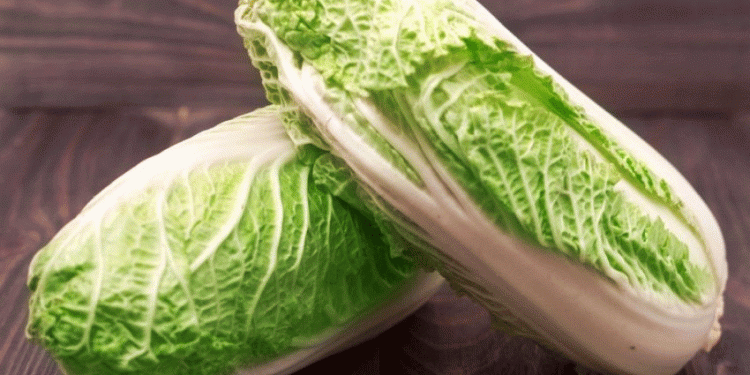 Peking Cabbage: Digestive Risks and Nutritional Benefits for Modern Agriculture