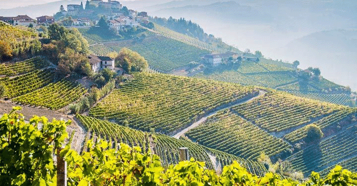 Spain Boosts Agri-Food Sector with €875,750 Funding Program – Key Opportunities for Farmers and Industry Professionals