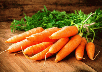 Carrot Market Trends Summer 2024: Demand, Pricing, and Harvest Strategies