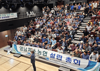 Empowering Farmers: How Yeongnam Vegetable Cooperative Aims to Stabilize Garlic and Onion Markets